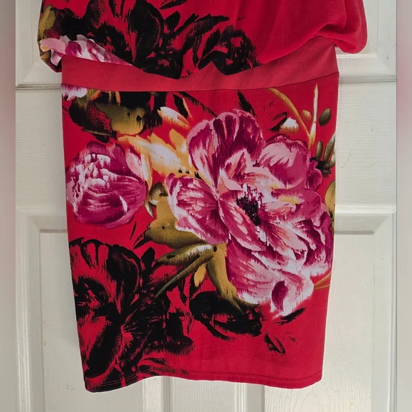 Sandra Darren Bold Floral Sleeveless Dress - Picture 3 of 4